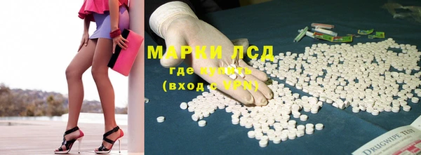 стафф Покачи