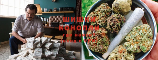 стафф Покачи