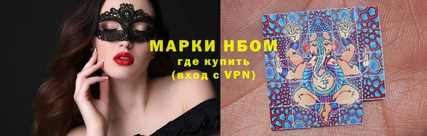 стафф Покачи