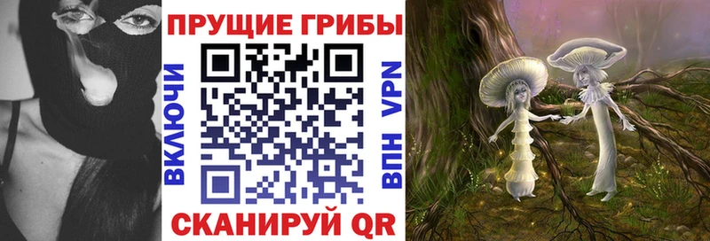 цены наркотик Шиханы Галлюциногенные грибы мицелий